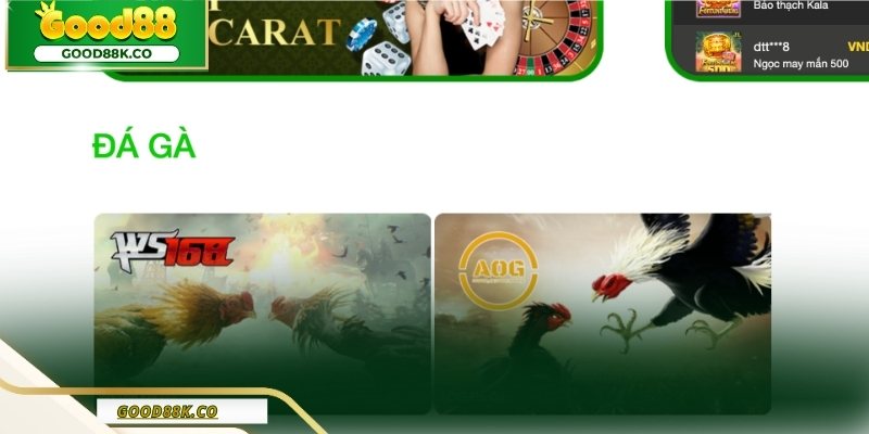 Sảnh đá gà quốc tế được Good88 cung cấp