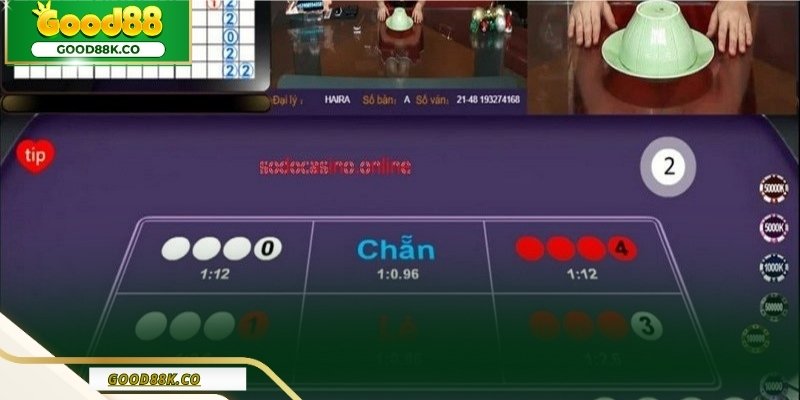 Xác suất không đồng đều theo điểm, nhưng gần cân bằng theo cửa.